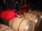 I profumi del vino di Perazzeta (16kb)